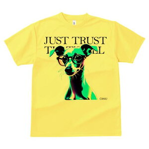 C^AO[nEh TVc Y LbY t@  t  vg JWA 킢 lԗp h ̃fUC ʔ Kl C^AO[nEh