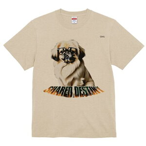 yLj[Y TVc fB[X t@  t  vg JWA 킢 lԗp h ̃fUC ʔ Kl yLj[Y