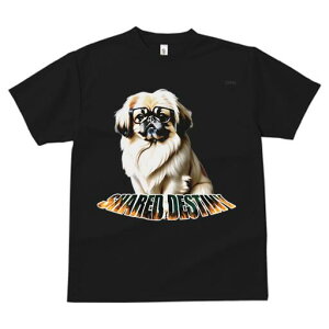 yLj[Y TVc fB[X t@  t  vg JWA 킢 lԗp h ̃fUC ʔ Kl yLj[Y