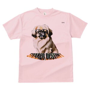 yLj[Y TVc fB[X t@  t  vg JWA 킢 lԗp h ̃fUC ʔ Kl yLj[Y