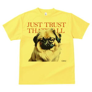 yLj[Y TVc fB[X t@  t  vg JWA 킢 lԗp h ̃fUC ʔ Kl yLj[Y