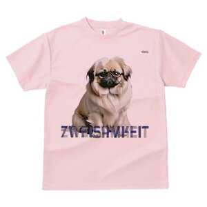 yLj[Y TVc fB[X t@  t  vg JWA 킢 lԗp h ̃fUC ʔ Kl yLj[Y