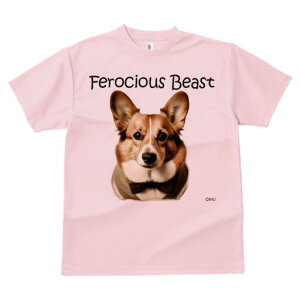 R[M[ TVc fB[X t@  t  vg JWA 킢 lԗp h ̃fUC ʔ lN^C R[M[ X[c