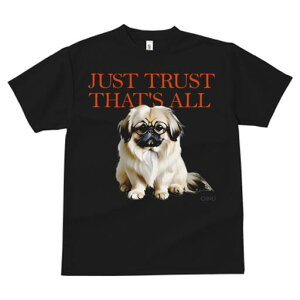 yLj[Y TVc fB[X t@  t  vg JWA 킢 lԗp h ̃fUC ʔ Kl yLj[Y