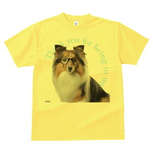 VFbghV[vhbO TVc Y LbY t@  t  vg JWA 킢 lԗp h ̃fUC ʔ Kl VFbghV[vhbO