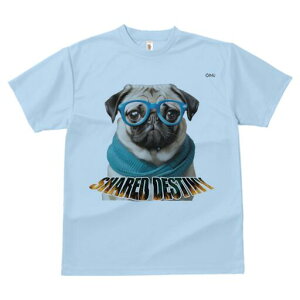 pO TVc fB[X t@  t  vg JWA 킢 lԗp h ̃fUC ʔ Kl pO XJ[t