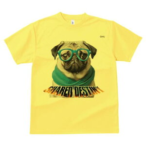 �p�O T�V���c ���f�B�[�X ���t�@�� ���� �t�� ���� �v�����g �J�W���A�� ���킢�� �l�ԗp ���h ���������̃f�U�C�� �ʔ� ���K�l �p�O �X�J�[�t