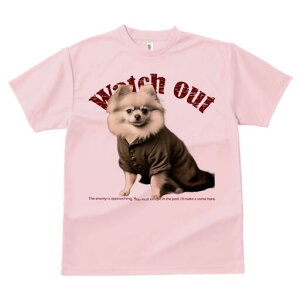 |jA TVc fB[X t@  t  vg JWA 킢 lԗp h ̃fUC ʔ ʔ |jA 킢  