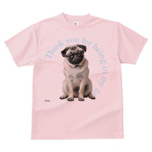 pO TVc Y LbY t@  t  vg JWA 킢 lԗp h ̃fUC ʔ Kl pO