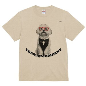 }`[Y TVc fB[X t@  t  vg JWA 킢 lԗp h ̃fUC ʔ Kl }`[Y lN^C ^LV[h