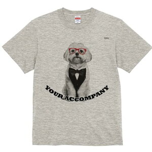 }`[Y TVc fB[X t@  t  vg JWA 킢 lԗp h ̃fUC ʔ Kl }`[Y lN^C ^LV[h