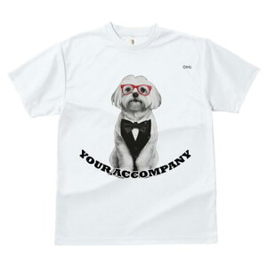 }`[Y TVc fB[X t@  t  vg JWA 킢 lԗp h ̃fUC ʔ Kl }`[Y lN^C ^LV[h