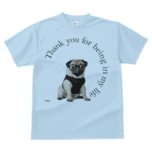 pO TVc fB[X t@  t  vg JWA 킢 lԗp h ̃fUC ʔ Kl pO 