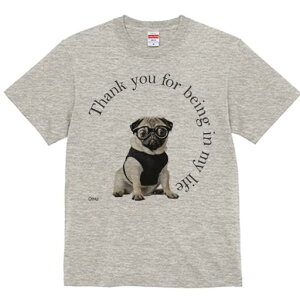 pO TVc fB[X t@  t  vg JWA 킢 lԗp h ̃fUC ʔ Kl pO 