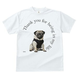 pO TVc fB[X t@  t  vg JWA 킢 lԗp h ̃fUC ʔ Kl pO 