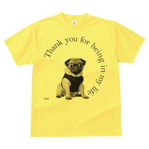 pO TVc fB[X t@  t  vg JWA 킢 lԗp h ̃fUC ʔ Kl pO 