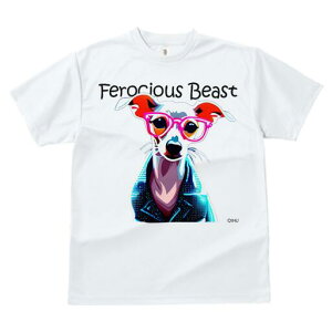 C^AO[nEh TVc Y LbY t@  t  vg JWA 킢 lԗp h ̃fUC ʔ Kl C^AO[nEh WP