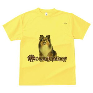 VFbghV[vhbO TVc fB[X t@  t  vg JWA 킢 lԗp h ̃fUC ʔ Kl VFbghV[vhbO