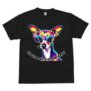 ` TVc fB[X t@  t  vg JWA 킢 lԗp h ̃fUC ʔ Kl ` |bvA[g