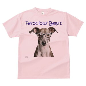 C^AO[nEh TVc Y LbY t@  t  vg JWA 킢 lԗp h ̃fUC ʔ Kl C^AO[nEh