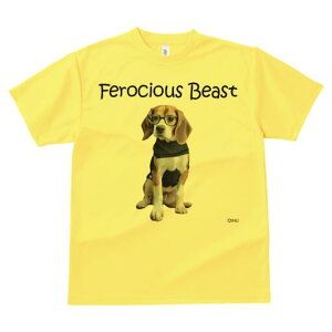 r[O TVc fB[X t@  t  vg JWA 킢 lԗp h ̃fUC ʔ Kl r[O Z[^[