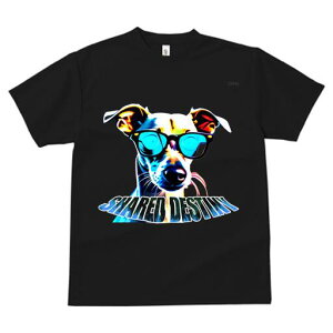 C^AO[nEh TVc Y LbY t@  t  vg JWA 킢 lԗp h ̃fUC ʔ Kl C^AO[nEh