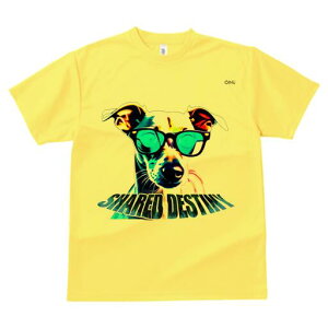 C^AO[nEh TVc fB[X t@  t  vg JWA 킢 lԗp h ̃fUC ʔ Kl C^AO[nEh