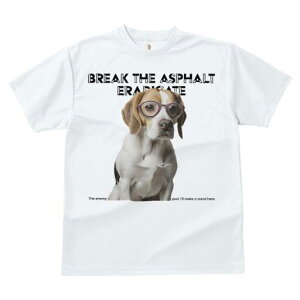 r[O TVc fB[X t@  t  vg JWA 킢 lԗp h ̃fUC ʔ Kl r[O