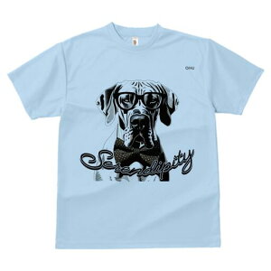 O[gf[ TVc fB[X t@  t  vg JWA 킢 lԗp h ̃fUC ʔ Kl O[gf[ lN^C