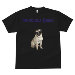 pO TVc fB[X t@  t  vg JWA 킢 lԗp h ̃fUC ʔ Kl pO