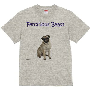 pO TVc fB[X t@  t  vg JWA 킢 lԗp h ̃fUC ʔ Kl pO