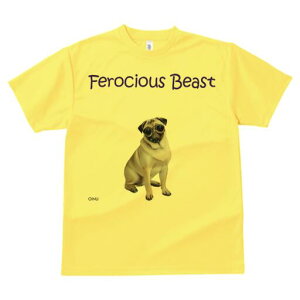 pO TVc fB[X t@  t  vg JWA 킢 lԗp h ̃fUC ʔ Kl pO