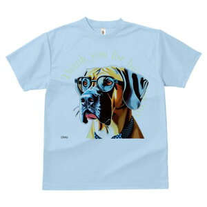 O[gf[ TVc Y LbY t@  t  vg JWA 킢 lԗp h ̃fUC ʔ Kl O[gf[ hbg