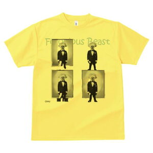 }`[Y TVc fB[X t@  t  vg JWA 킢 lԗp h ̃fUC ʔ ^LV[h }`[Y mN