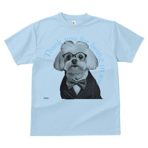 }`[Y TVc fB[X t@  t  vg JWA 킢 lԗp h ̃fUC ʔ Kl }`[Y lN^C X[c