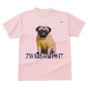 pO TVc fB[X t@  t  vg JWA 킢 lԗp h ̃fUC ʔ Kl pO Z[^[