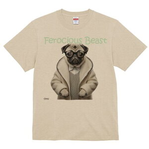 pO TVc fB[X t@  t  vg JWA 킢 lԗp h ̃fUC ʔ Kl pO X[c