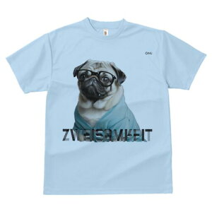 pO TVc fB[X t@  t  vg JWA 킢 lԗp h ̃fUC ʔ Kl pO 