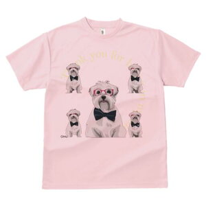 }`[Y TVc fB[X t@  t  vg JWA 킢 lԗp h ̃fUC ʔ Kl }`[Y lN^C