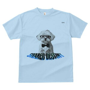 }`[Y TVc fB[X t@  t  vg JWA 킢 lԗp h ̃fUC ʔ Kl }`[Y lN^C