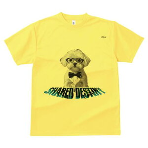 }`[Y TVc fB[X t@  t  vg JWA 킢 lԗp h ̃fUC ʔ Kl }`[Y lN^C