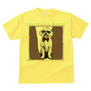 }`[Y TVc fB[X t@  t  vg JWA 킢 lԗp h ̃fUC ʔ lN^C }`[Y Kl