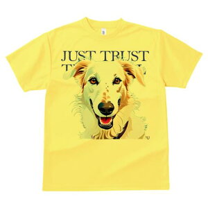 {]C TVc fB[X t@  t  vg JWA 킢 lԗp h ̃fUC ʔ {]C