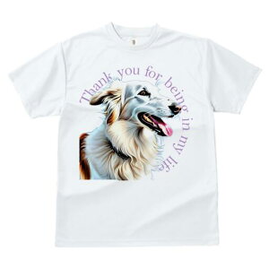 {]C TVc fB[X t@  t  vg JWA 킢 lԗp h ̃fUC ʔ {]C