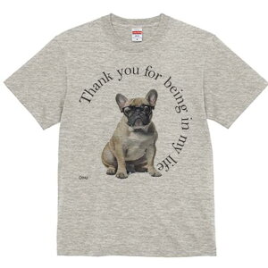 t`uhbO TVc Y LbY t@  t  vg JWA 킢 lԗp h ̃fUC ʔ Kl t`uhbO