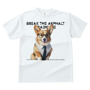 R[M[ TVc fB[X t@  t  vg JWA 킢 lԗp h ̃fUC ʔ lN^C R[M[ ዾ Vc