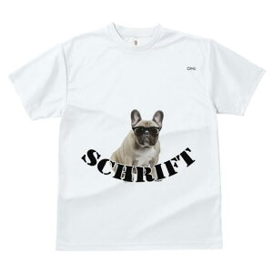 t`uhbO TVc Y LbY t@  t  vg JWA 킢 lԗp h ̃fUC ʔ Kl t`uhbO