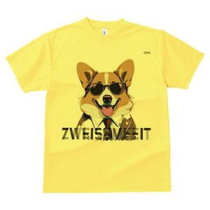 R[M[ TVc fB[X t@  t  vg JWA 킢 lԗp h ̃fUC ʔ TOX R[M[ X[c