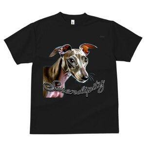 C^AO[nEh TVc fB[X t@  t  vg JWA 킢 lԗp h ̃fUC ʔ C^AO[nEh