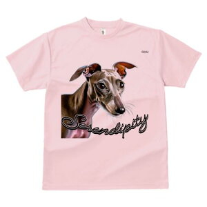 C^AO[nEh TVc fB[X t@  t  vg JWA 킢 lԗp h ̃fUC ʔ C^AO[nEh